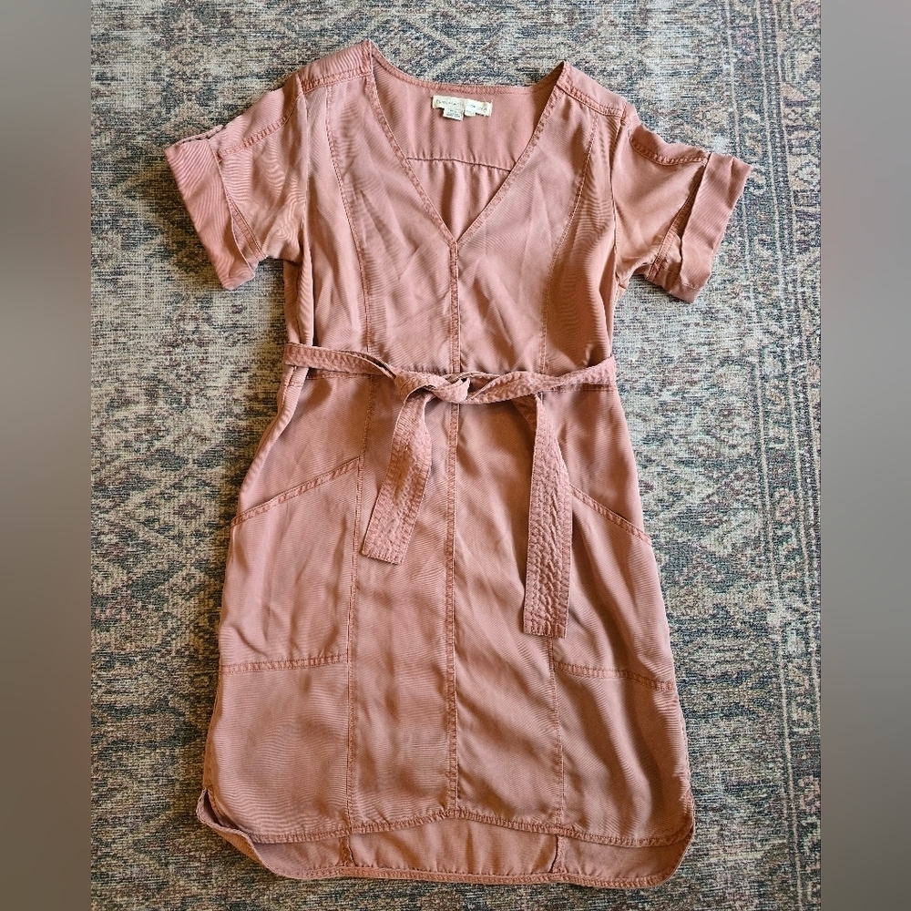 ANTHROPOLOGIE Pilcro And the Letterpress Dusty Pink Shirt Dress With Pockets SM